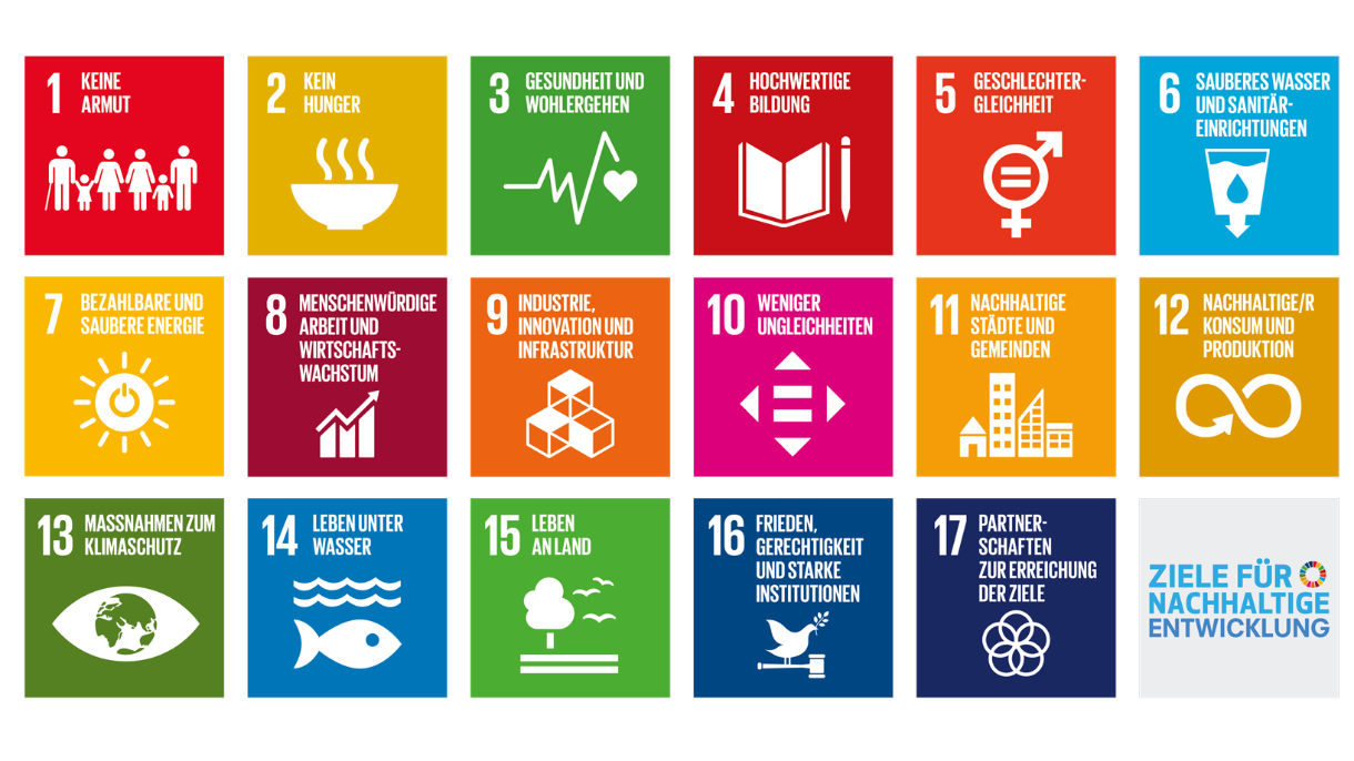 17 SDGs der UN